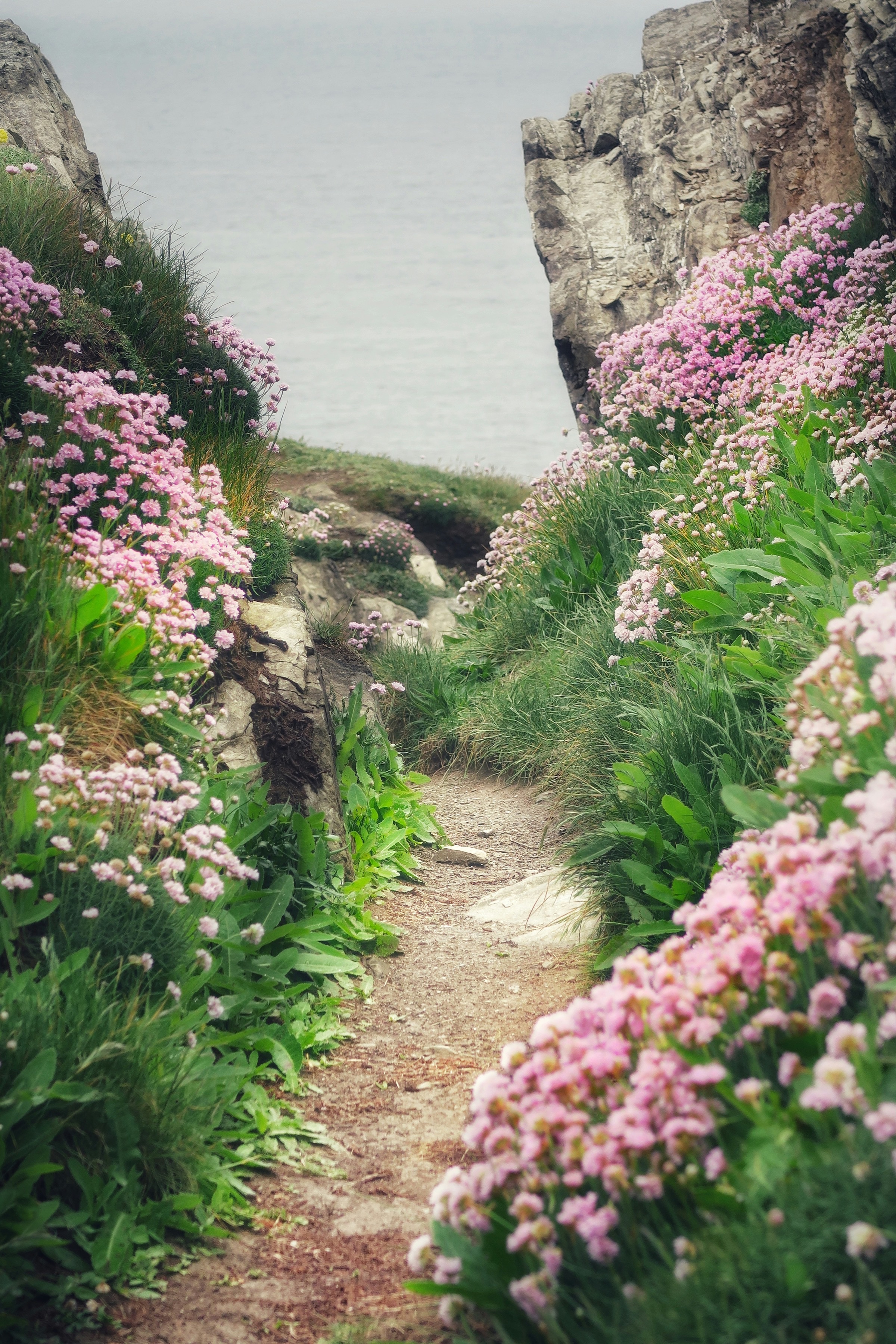 Beyond the Postcards: A Guide to Walking in Cornwall