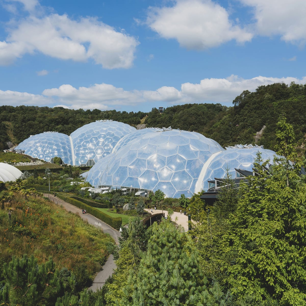 The geodesic biomes of the Eden Project in their green former clay pit, under a blue summer sky