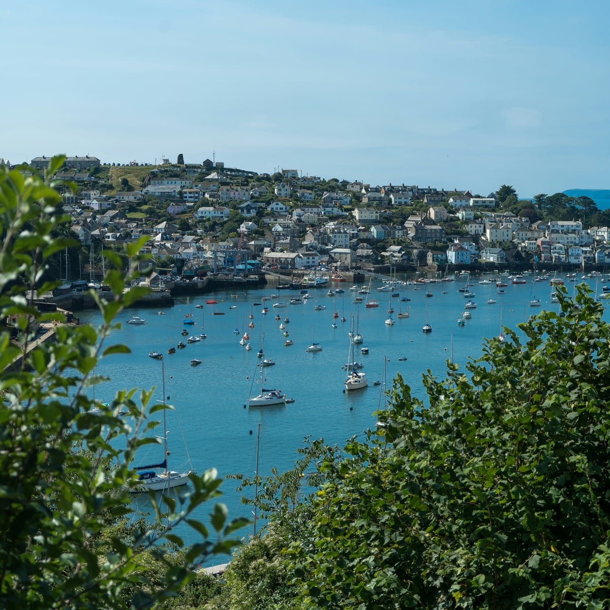 Fowey's hillside of houses above a harbour full of moored yachts, seen through greenery from across the estuary